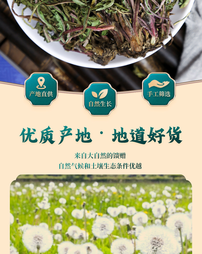 Wild Dandelion Tea Pu Gong Ying 500g 250g 100g Dried Whole Plant Cut Herbal Tea overview