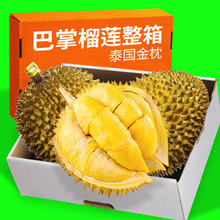 泰国金枕榴莲正宗巴掌榴莲软糯香甜迷你干包黄肉核小当季水果整箱