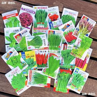 Vegetable Seeds for All Seasons: Large-Leaf Coriander, Strawberry, Wheat, Rapeseed, Balcony Vegetables, Lettuce, Spinach, Chives, Tomato Seeds