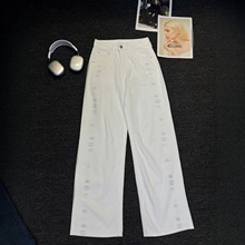����Ů�b2026�＾�H���¿�r�и����@�����e�߼��РC����ţ��ѝ
