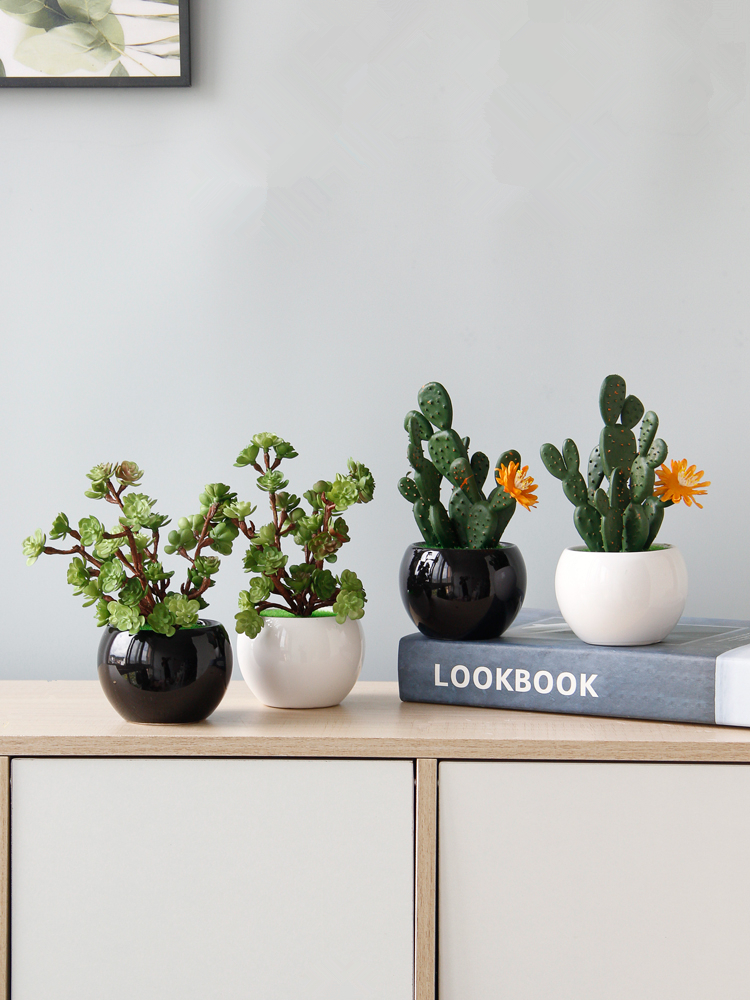 ✅创意室内桌面假花绿植装饰摆件家居茶几植物盆栽仙人掌盆景