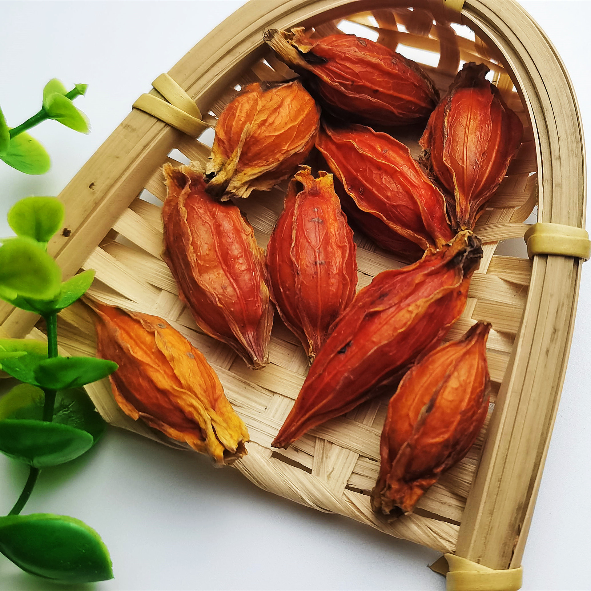 Bulk wholesale frangipani new arrival Large frangipani Jiangxi water frangipani TCM herbal medicine agent various TCM herbal medicines