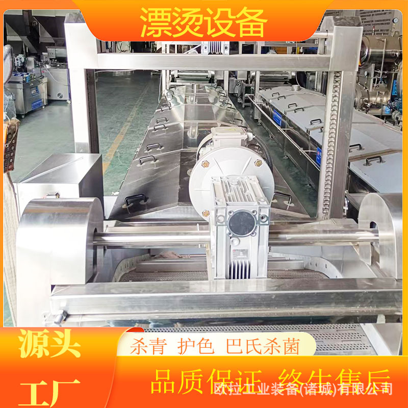 紫苏叶清洗漂烫风干线 黄瓜深加工漂烫机 蔬菜漂烫杀青流水线