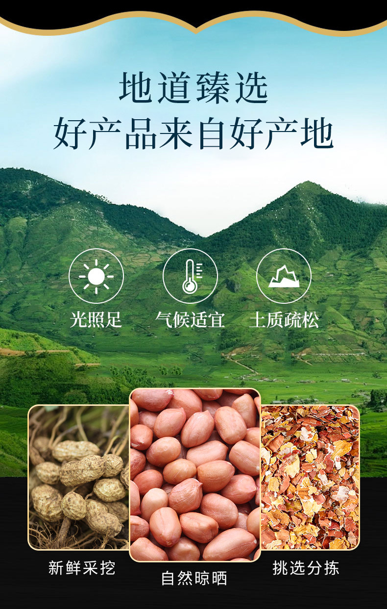 Peanut Skin (Arachis hypogaea) — Dried Red Seed Coat, Food Herb for Tea & Decoction overview