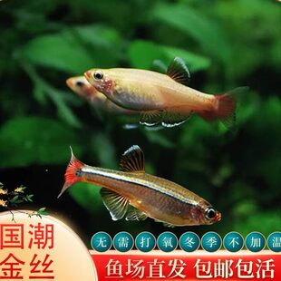 ��녽�z��ˮ�~���Bƿ�S����z�~���wԭ���ײ��Ӝص�ˮ������w