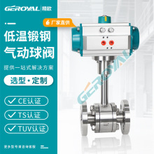 �S��ֱ�N DQ641F ��ӵ͜����y -196��Һ��Һ�����͜� ���y�T