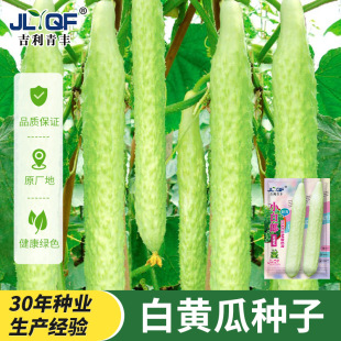 ��Ƥ�S�ϷN���r�۶�֭С������ϷN�ݴ����ļ��̨����ͥԺ�߲���