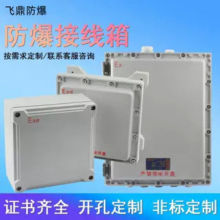 防爆配电箱接线箱控制箱开关空箱检修仪表照明动力控制接线盒直销