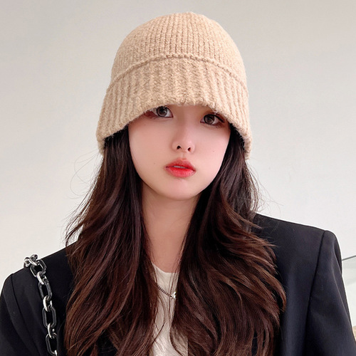 Hat Women's Woolen Fisherman Hat Autumn and Winter Korean Version Versatile Korean Dongdaemun Same Fashion Casual Warm Knitted Hat