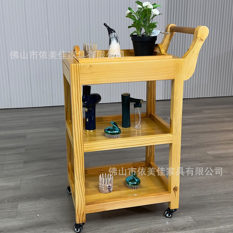 carro especial para salón de belleza gestión de la piel móvil empuje de mano estante instrumento de cuidado plástico carro de herramientas de mano