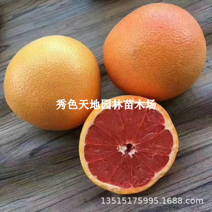 �ϷǼt�����������ϱ���ͥԺ�ͺ������֘������Լ޽ӹ��䮔��Y��