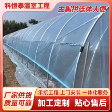 主副拱连体大棚 农业薄膜连体大棚简易大棚温室大棚厂家养殖棚