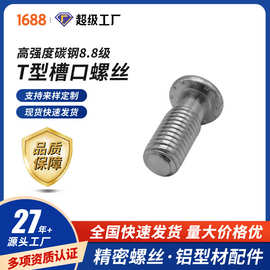厂家批量生产 铝型材配件 型材连接件螺丝 1Y04.B61A.01 M12X30