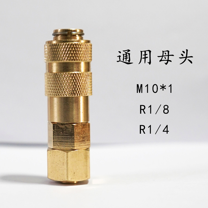 유니버설 여성 머리