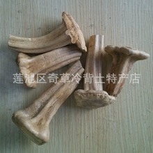 �Ϲϵ�,���l��ș���Ϲϵ�,����J��ֲ���ϹϵĹϵ�