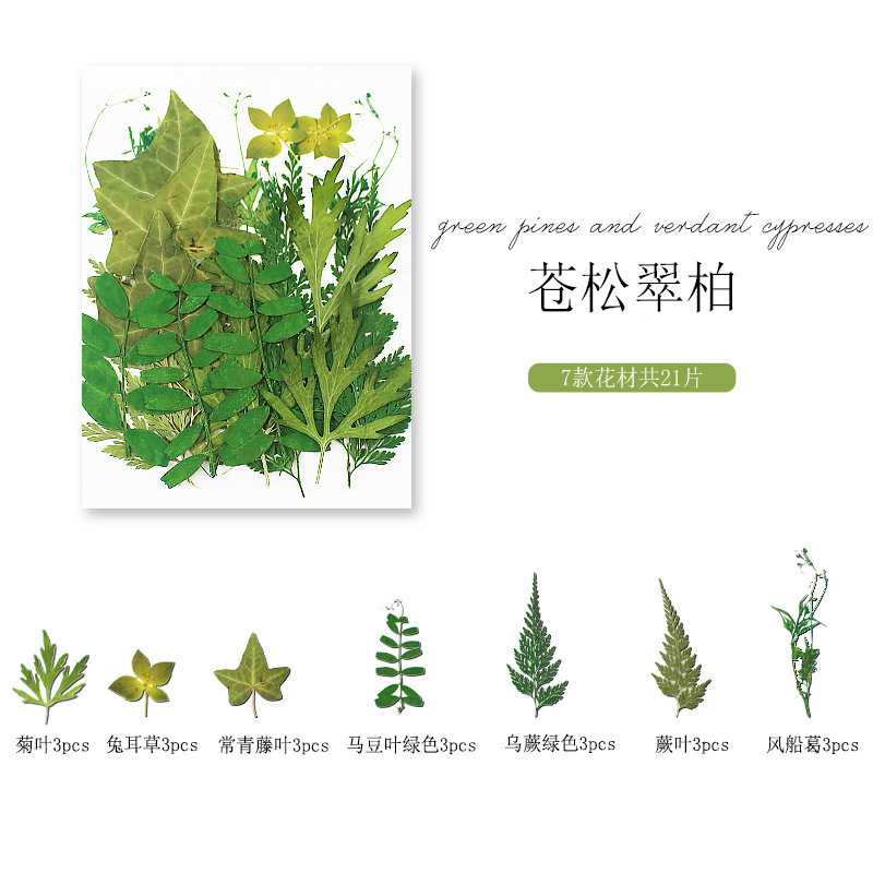 干花diy材料包永生花压花片押花草手工滴胶书签真花植物树叶标本|undefined
