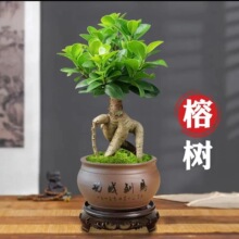 �˅���С�~�Ř������辰�҃��ֲ̨�����ԾGֲ�ع����Ϙ����B�ļ�