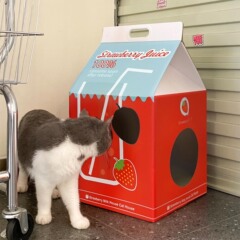 キャットハウス ミルクハウス シリーズ キャットネスト ポータブル ラージ カラー ボックス プリント キャットハウス 両面爪研削段ボール 猫用品付き