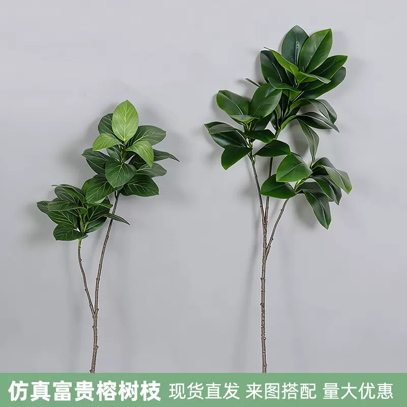 仿真树枝单支富贵榕叶子园林程装饰大树表演道具造景装饰植物树枝