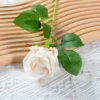 Champagne color (small velvet)