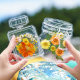 Dried Flower Bookmark Dragon year handmade diy material spring transparent leaf specimen creative stickers in the bottle