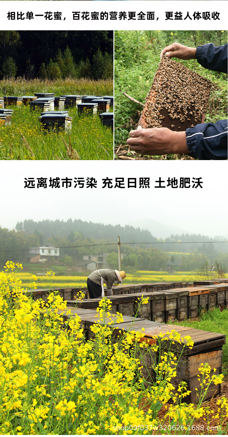 Baihua Honey Wildflower Honey 500g Bottle Raw Multi-Floral Honey from Farm Apiaries key features