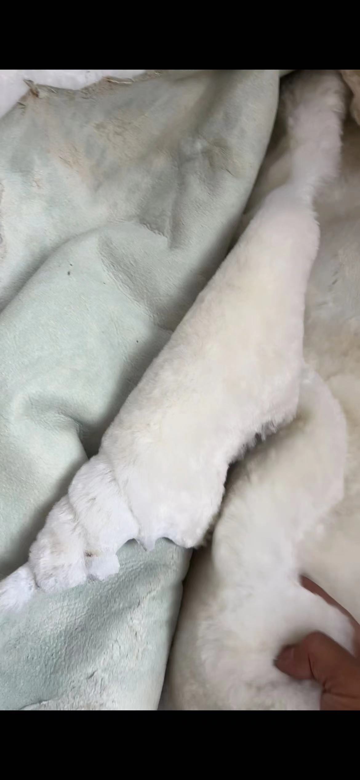 微信图片_20240623214155