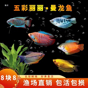 �����~��ˮ�~���^�p�~���B�ͻ�С�~������С����������~���~���~