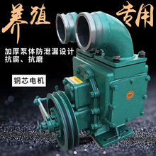 化粪池专用大马力柴油抽粪泵养殖场抽粪吸污泵池塘清淤排污泵