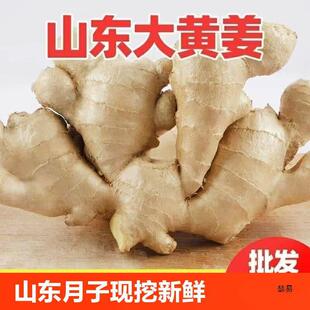 ɽ�|���Ͻ��������ӽ��L�ɽ��F���r�����S��ʳ�����l