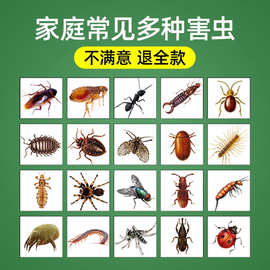蟑螂臭虫呋虫胺室内杀跳蚤沙发宠物无影蚂蚁灭床垫呋虫胺杀虫剂威