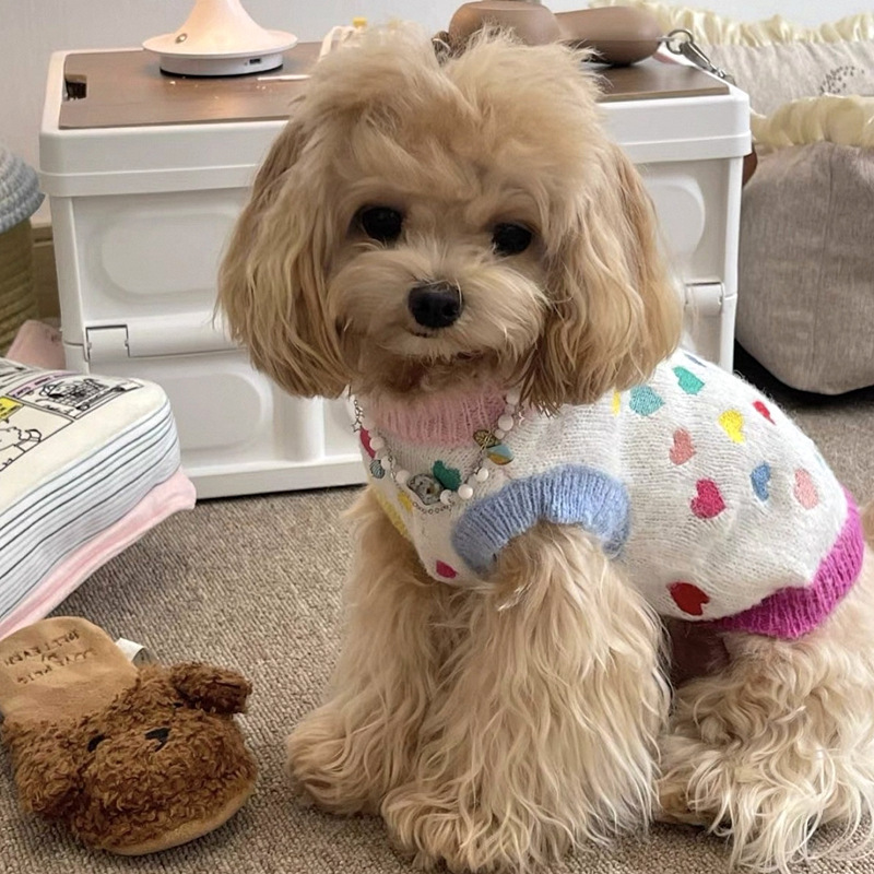Dog Knitted Sweater Teddy Bichon Pomeranian Schnauzer Yorkshire Maltese Pet Clothes Autumn and Winter
