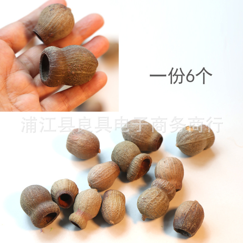 植物松果磁力冰箱贴干花果实种子装饰DIY材料包幼儿园创意手工|undefined