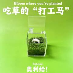 苔マイクロ風景屋内デスクトップ鉢植え新鮮な小さな緑の植物の装飾品オフィスギフトミニ苔生態