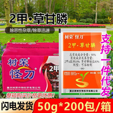 2�ײݸ�좳��݄����ݠ��������@�Ǹ��ػĵض��ײݸ��׳��s������