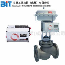 Flowserve��˹Logix 522MD+42-W1R300-GM3-1100+W3��λ����HART
