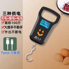 高精度手提电子秤小型快递称便携式家用钩商用吊勾弹簧行李称鱼器