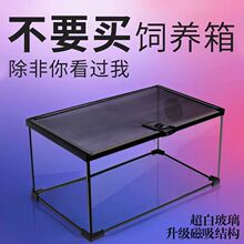 ���ָײ���������B�������������B����֩���،m���x