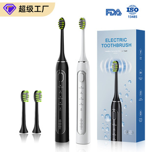 Y06 magnetic levitation electric toothbrush intelligent sonic cleaning DuPont soft brush portable cross-border offline gift wholesale