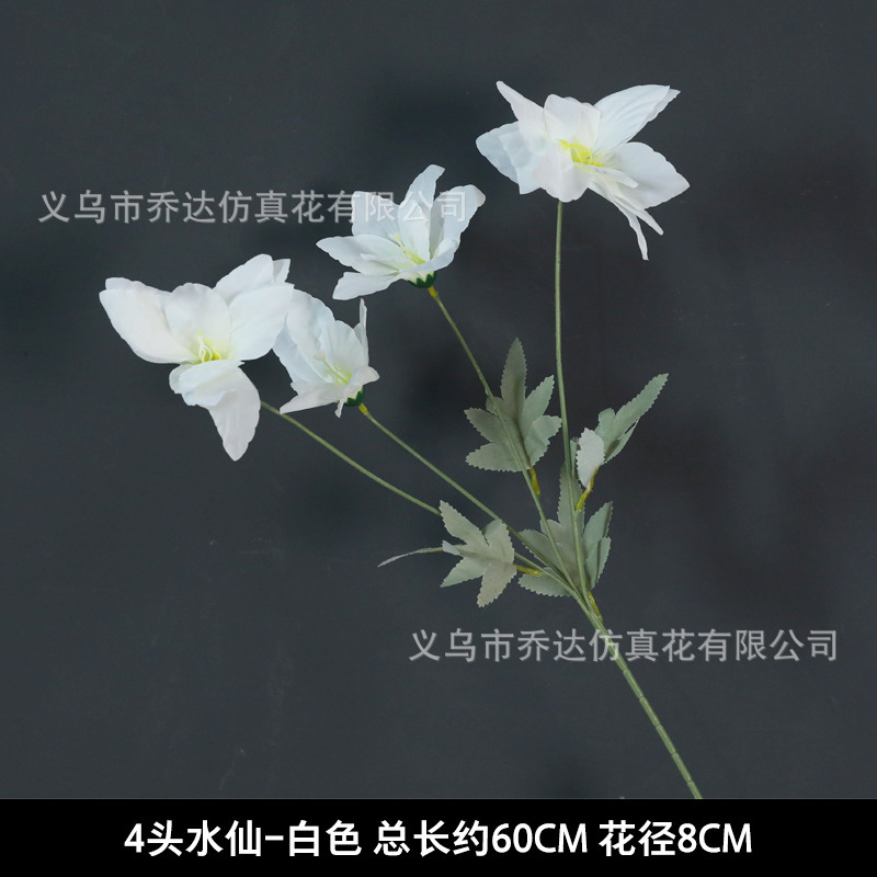 4 cabezas de narcisos