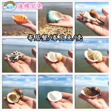 ���l�ľ�з��ؐ�~��Q���Ú�����ؐ����߅���ξ��^��ˇƷ�~���쾰