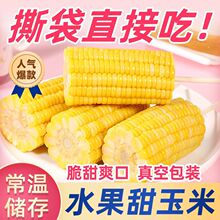 开袋即食水果甜玉米段代餐真空玉米棒学生上班装新鲜玉米粒棒批发
