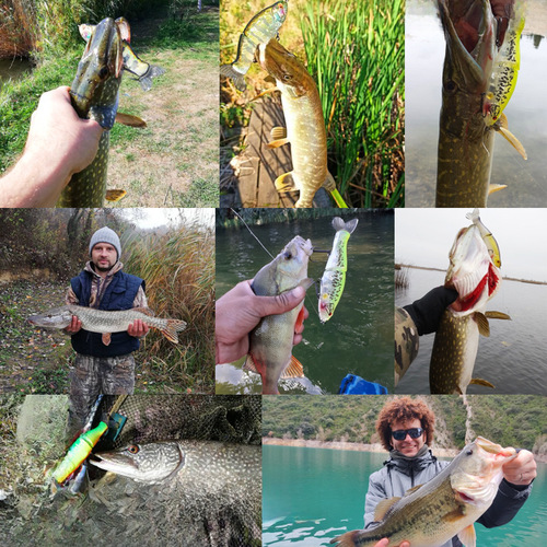 Xiong Wang Lure Multijoint Fish 13.5cm 30g Sea Bass Minnowmouth Shallow Water Hard Baits Direct Manufacturer Shipping