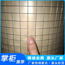 电焊网内外墙批荡网镀锌铁丝网防裂网0.9*12.7挂墙网电焊网批发