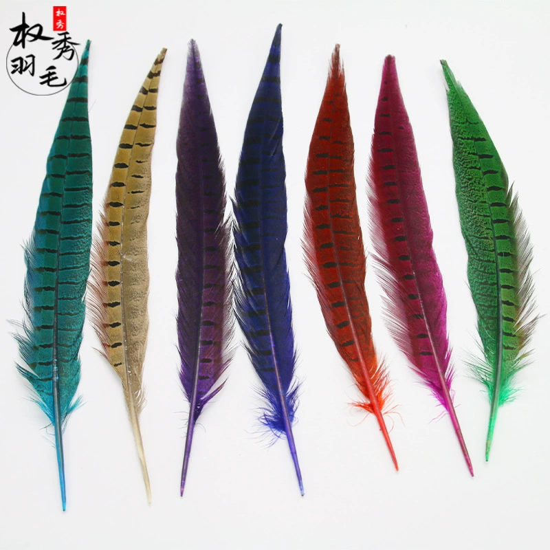 [Premium quality DIY public jiaohu? feather]