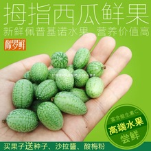水果拇指绿瓤西瓜小果子基诺新鲜迷你现摘西瓜网红佩普无
