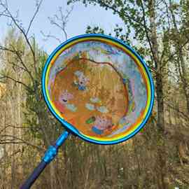 Dingda caron copy net rod fishing gear competitive copy net