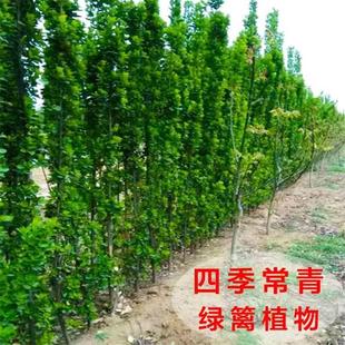 �ļ������ͺ��G�h�ʇ���ֲ����~���������������S��ͥԺ�G����ľ