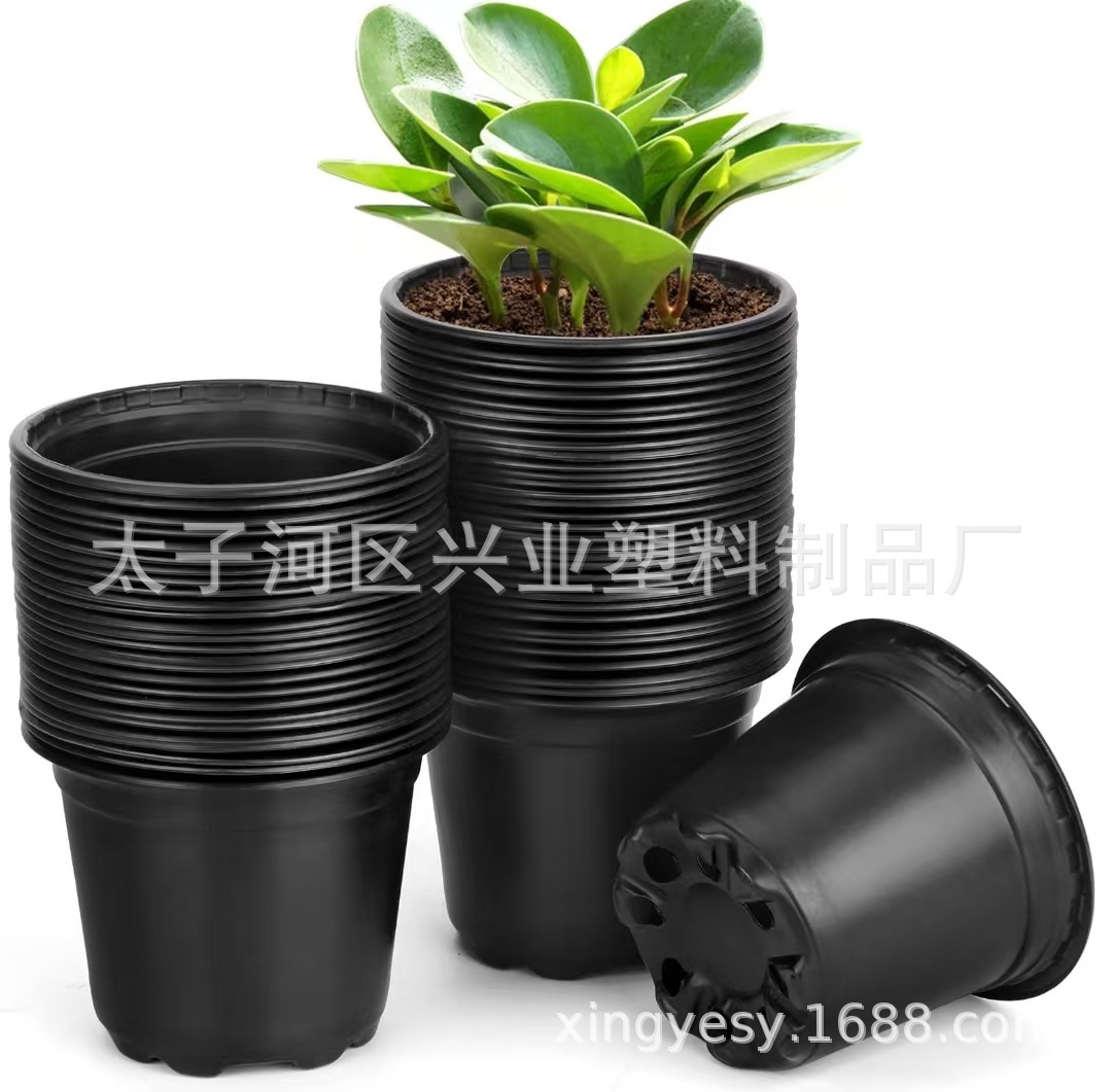 微信图片_20250107130215