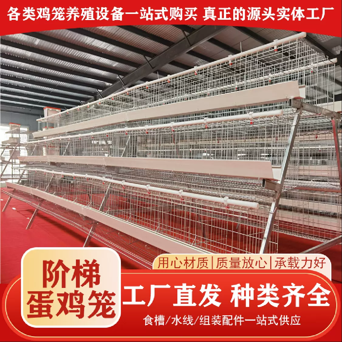 蛋鸡笼养鸡场层叠阶梯式养殖大笼子自动清粪鸡舍设备镀锌丝鸡笼子